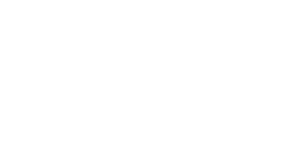 logo light